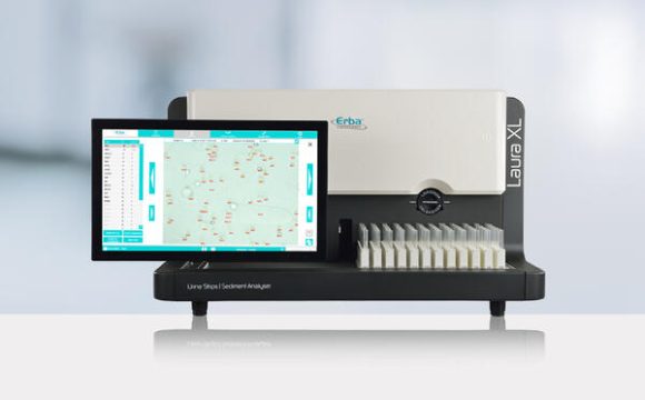 Erba Laura XL